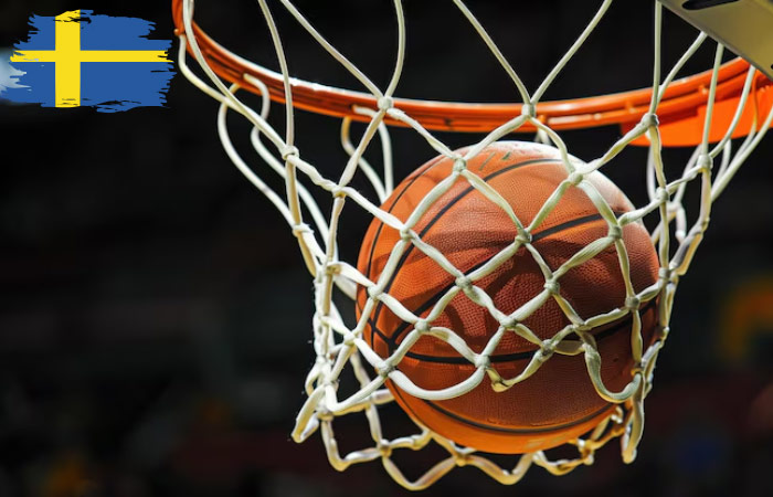 Basket Betinia
